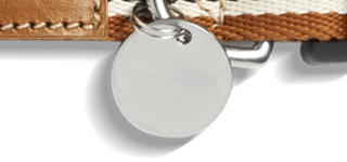 Nylon Dog Collar - Brand Stripe - Image 4